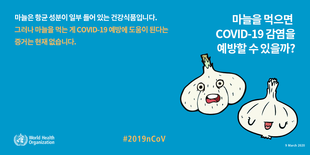 마늘을 먹으면 COVID-19 감염을 예방할 수 있을까?